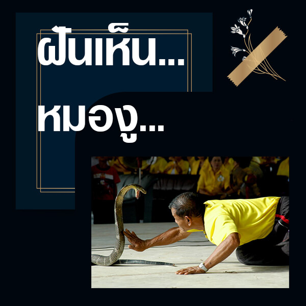 ทำนายฝัน เห็นหมองู