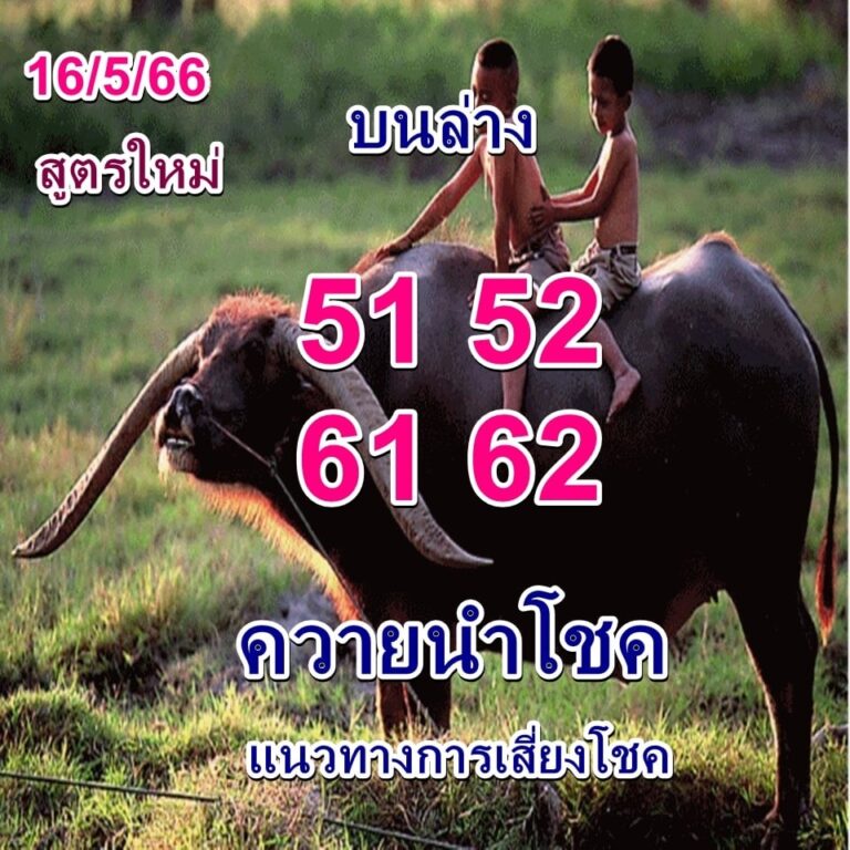 หวยควายนำโชค 16-5-66