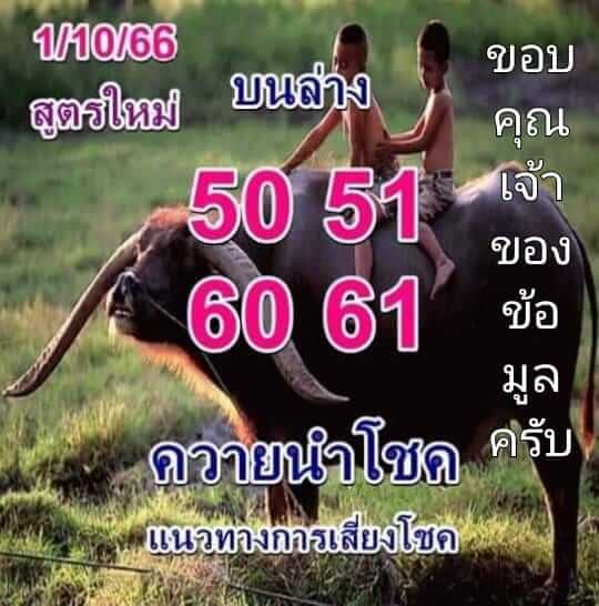 เลขเด็ด ควายนำโชค 01-10-66