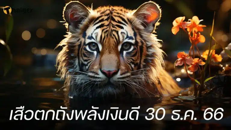 เลขเด็ด เสือตกถัง 30-12-66